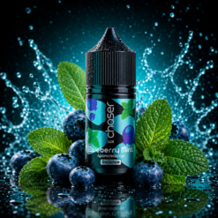 Chaser LUX Blueberry Mint