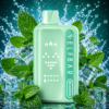 Elf Bar BC45000 «Double Mint»