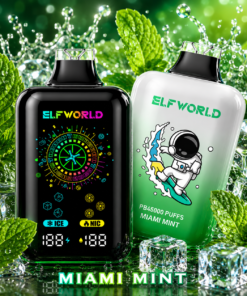 Elfworld PB 45000 Miami Mint