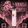 Vaporesso XROS 5 Pod Kit 1500 мА·год, Opal Pink