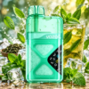 VOZOL NEON 60000 ﻿﻿﻿﻿М'ятний чай з льодом