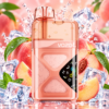 VOZOL NEON 60000 Peach Ice