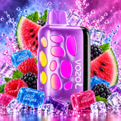 Vozol RAVE 40000 Watermelon Razz Rancher