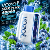 Vozol STAR 40000 Blueberry Mint